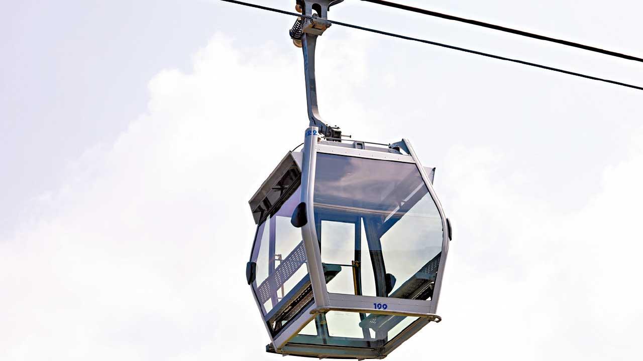 昂坪360去年接待138萬人 年升2.5倍  增購10架全景纜車冀年底運作