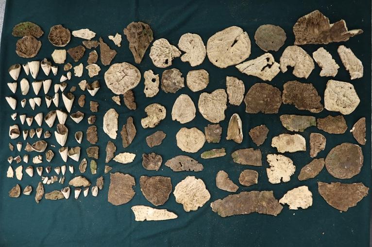 旅客走私市值135萬土沉香到內地判囚30個月