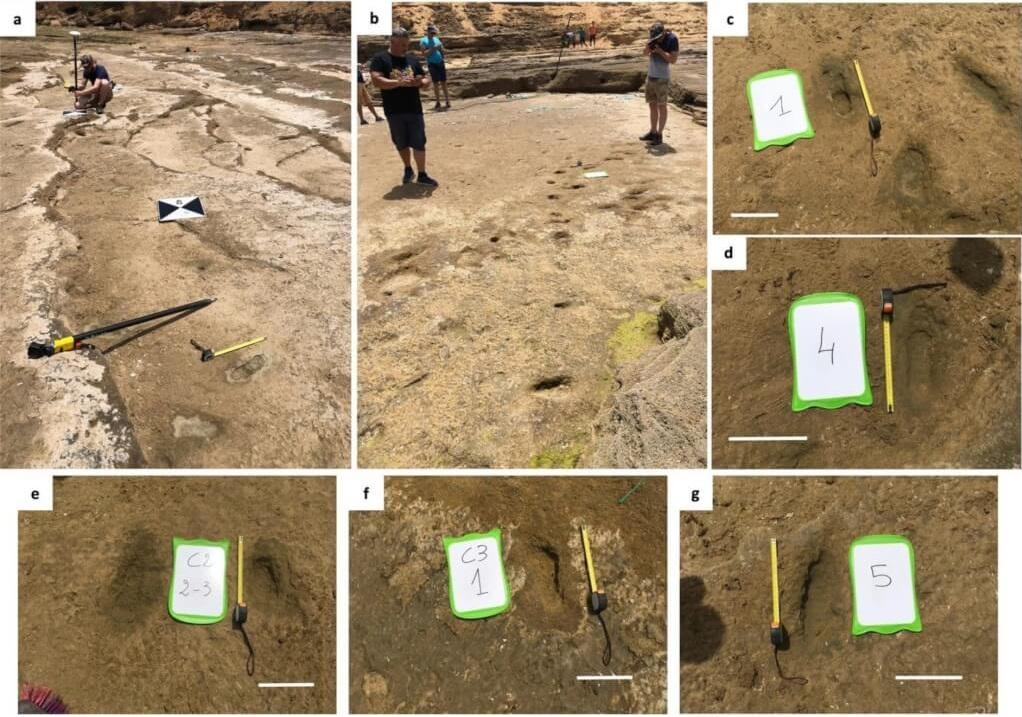 考古學家在摩洛哥沿岸發現約10萬年前遠古人類腳印。(互聯網)