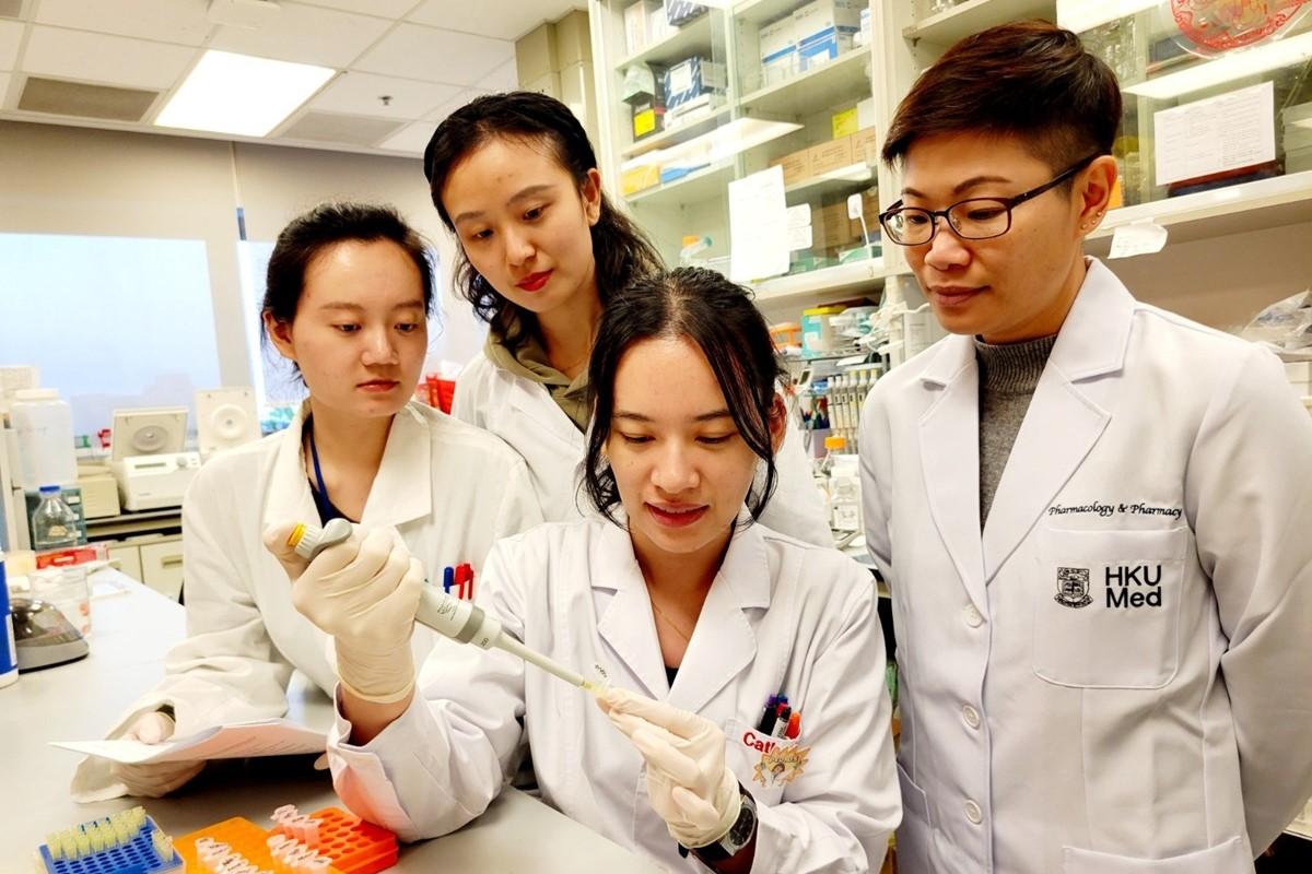 何麗莊希望研發出的抗體6H2，有望為中風患者提供有效藥物治療方案。(港大醫學院提供)