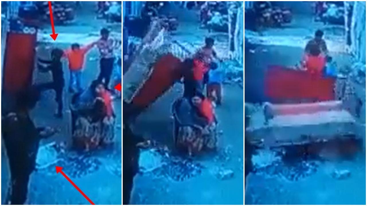 7歲童多手拉冧圍牆，砸死自己老婦和狗狗。(X)