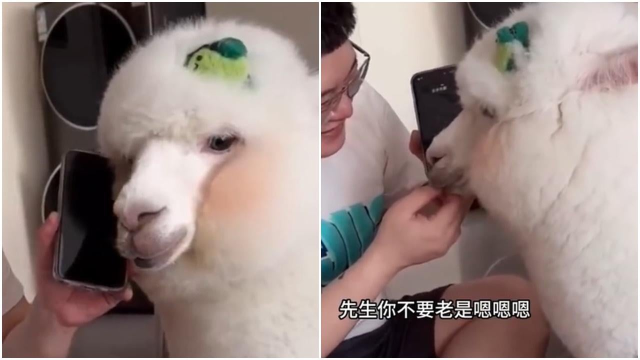 女性雕像遠少於男性或神獸，丹麥擲5700萬矯正失衡。(微博)