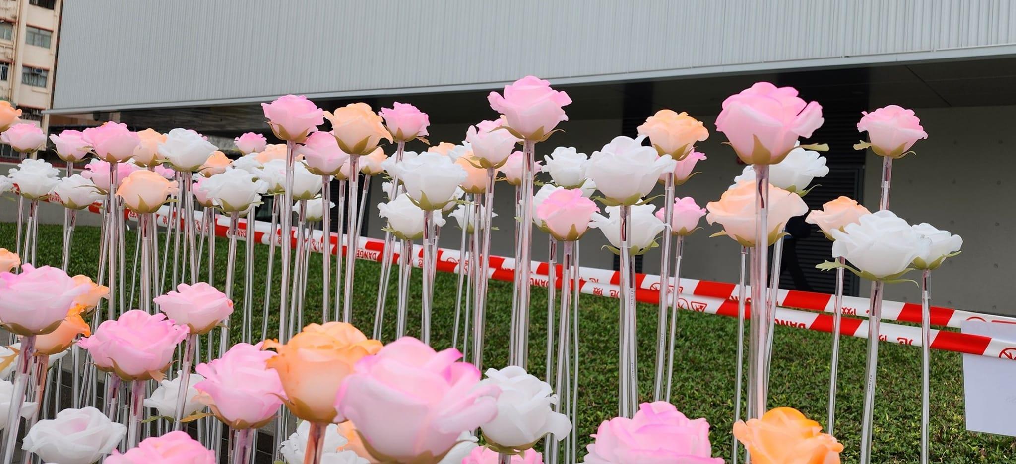 東九文化中心LED花海已改色？網民：夜間亮燈後變咩色。(FB)