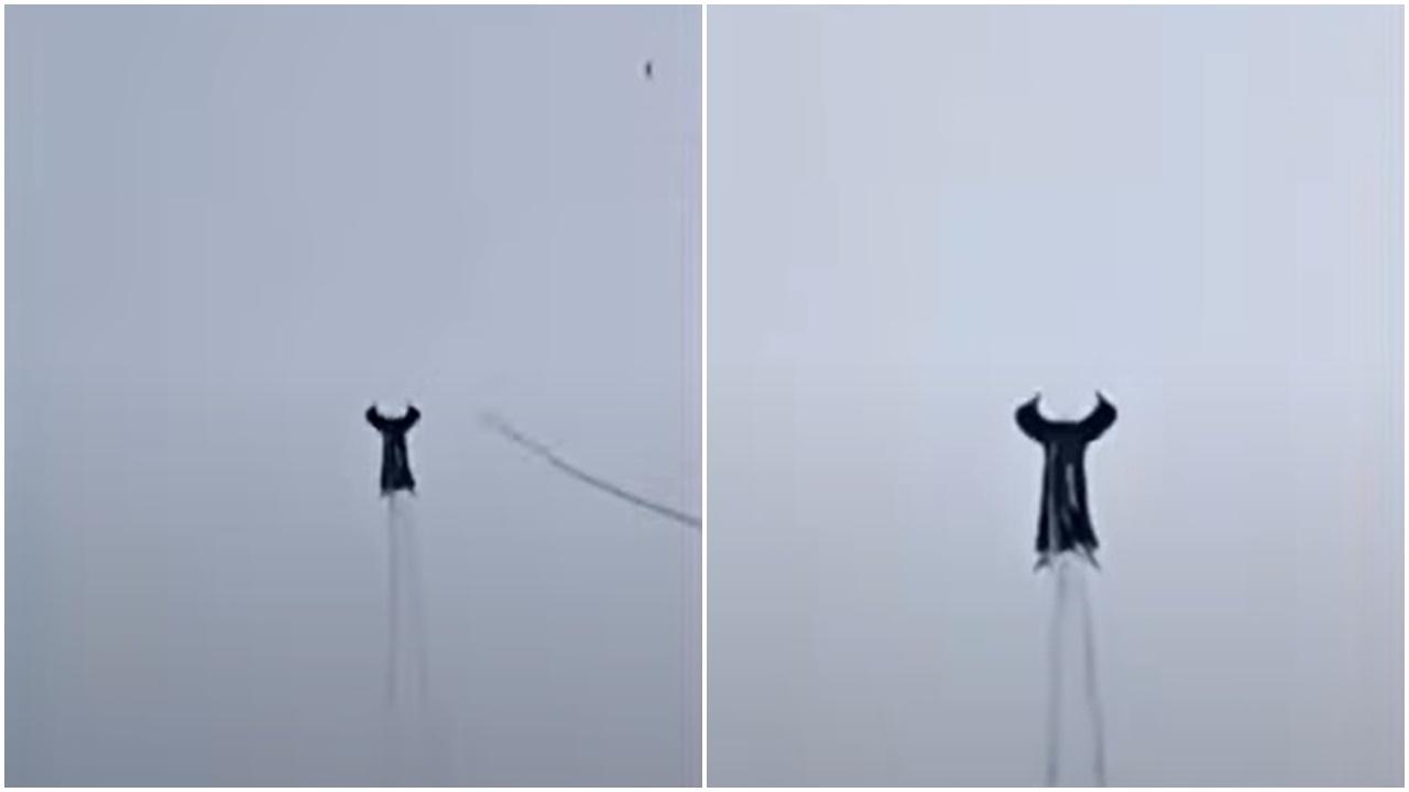 神秘「無頭斗篷男」衝天影片惹UFO疑雲，網民揭原來是這種動物。(YouTube)