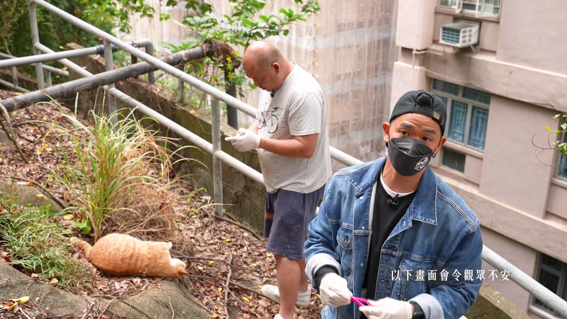 一個好人｜林子善陡峭山坡執貓屍險仆倒 貨車司機為流浪動物執屍負債10多萬