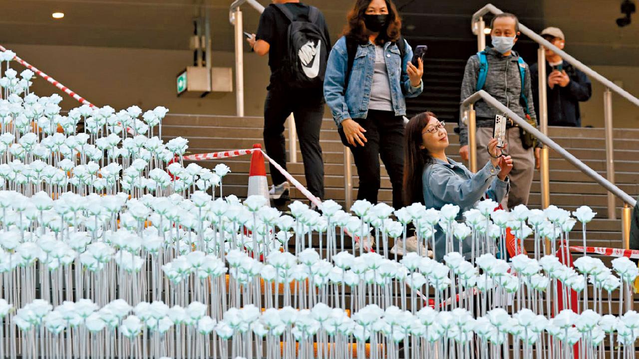 東九文化中心LED花海被嘲似靈堂 區議員︰莖葉可改顏色