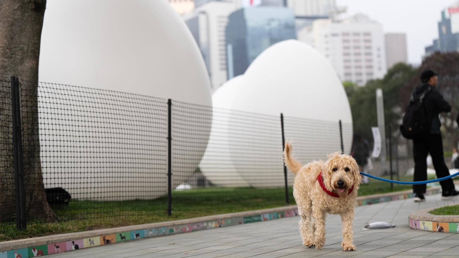 香港失業率2.9% 看到了甚麼