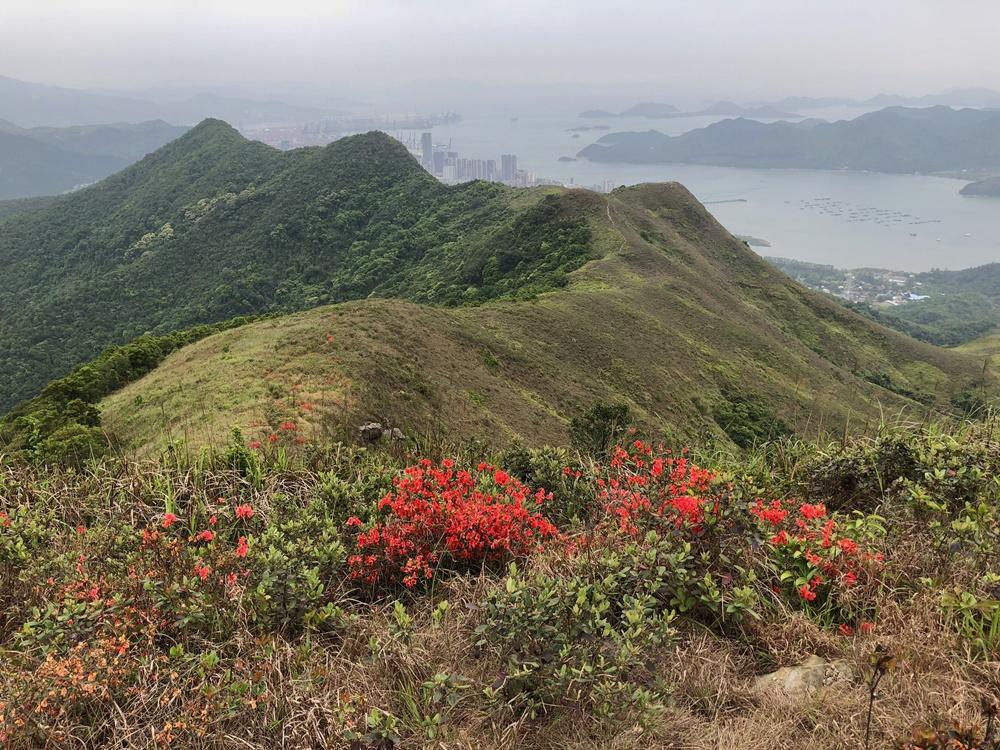 紅花嶺郊野公園成立