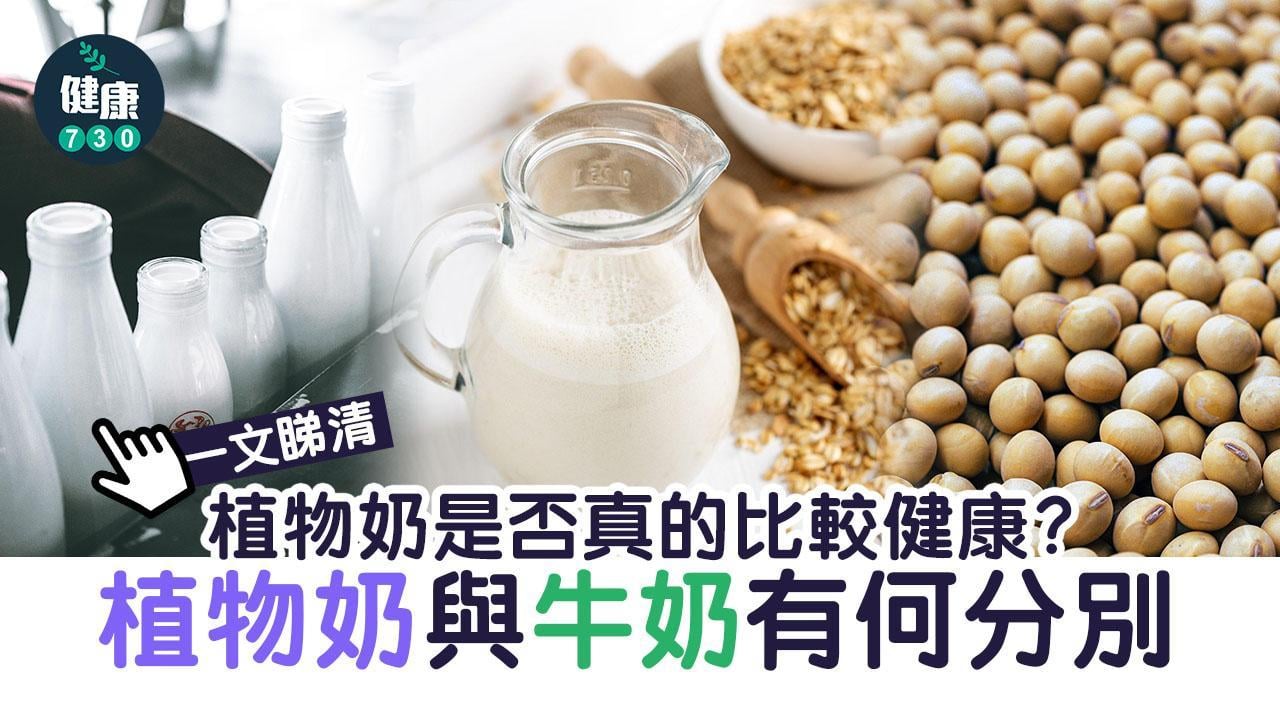 植物奶與牛奶有何分別？植物奶是否真的比較健康？（am730製圖）