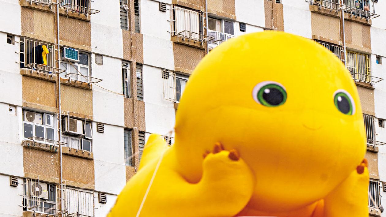 圖輯｜總有一隻在左近