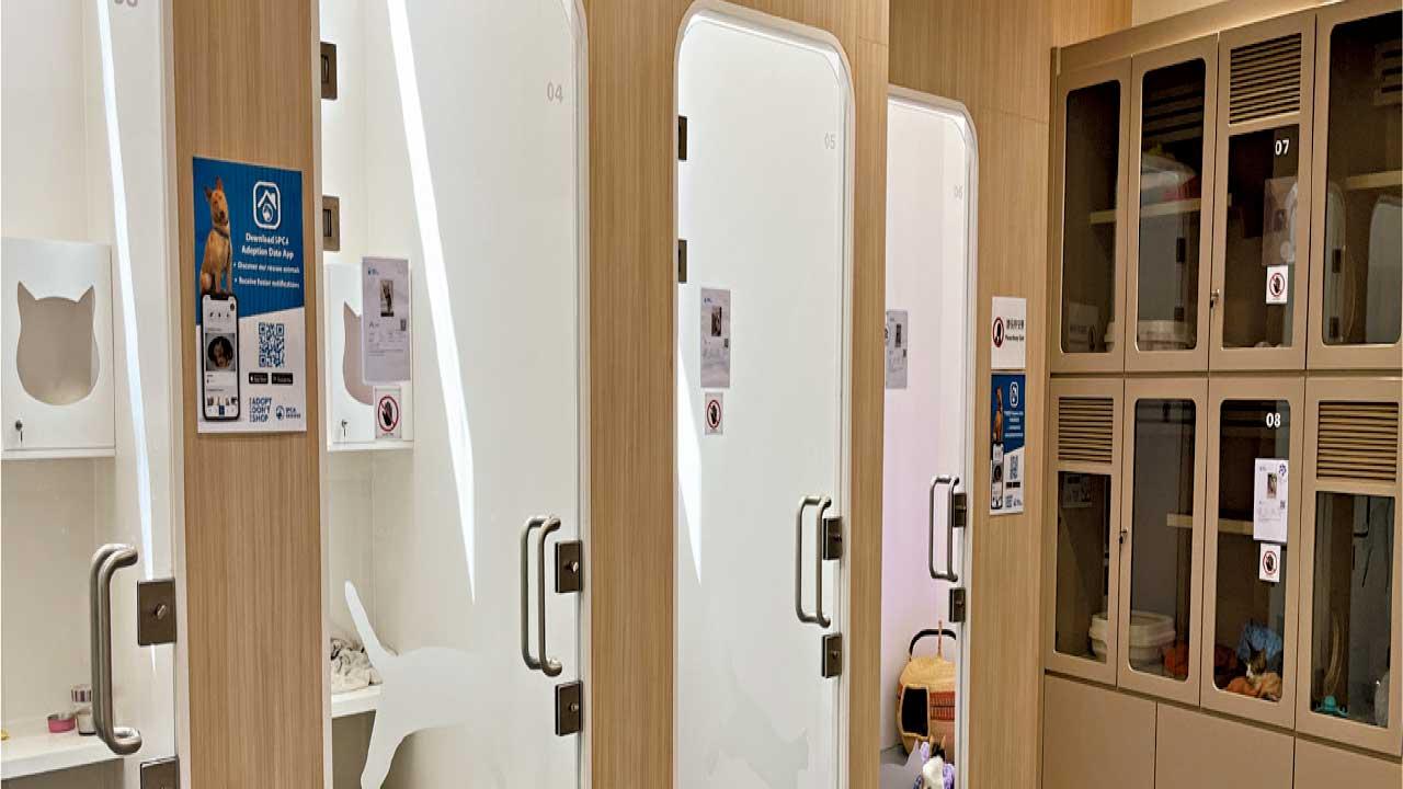 愛協青衣新中心開幕 成新界最大動物醫院