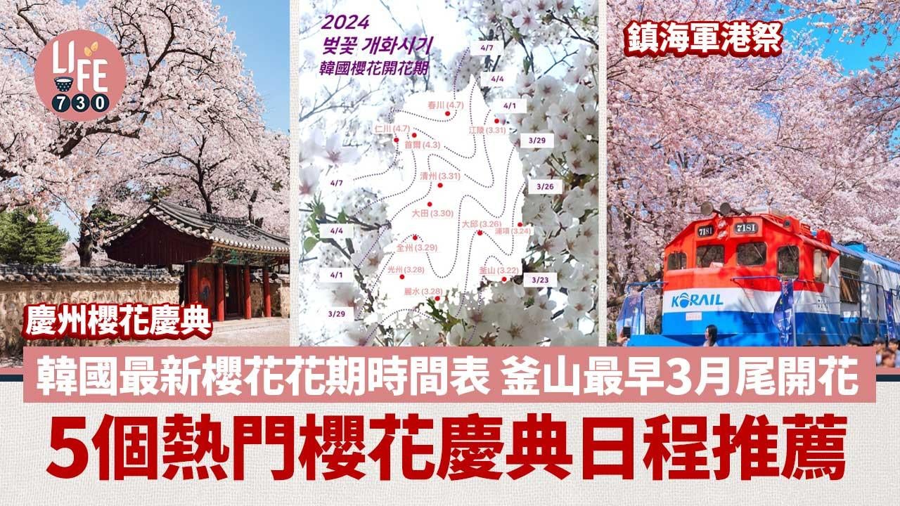 韓國櫻花2024｜韓國最新櫻花花期時間表 釜山最早3月尾開花  5個熱門櫻花慶典日程