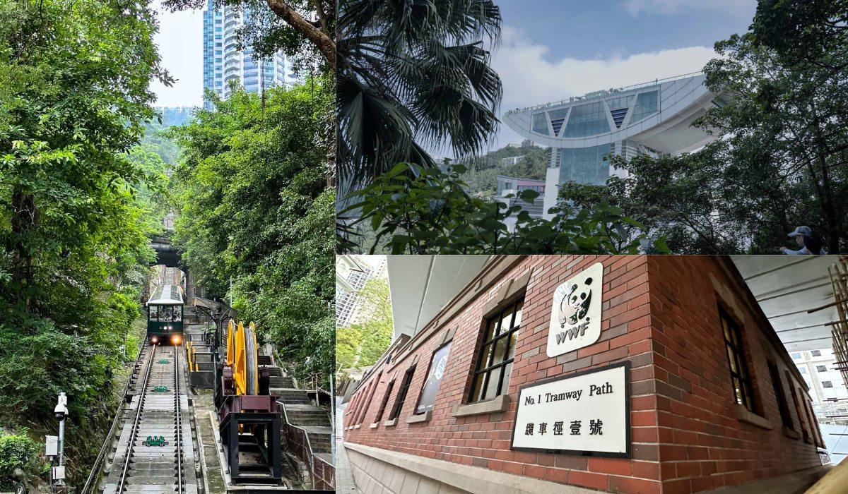港大行山路線︱龍虎山上盧吉道接纜車徑 香港島好去處