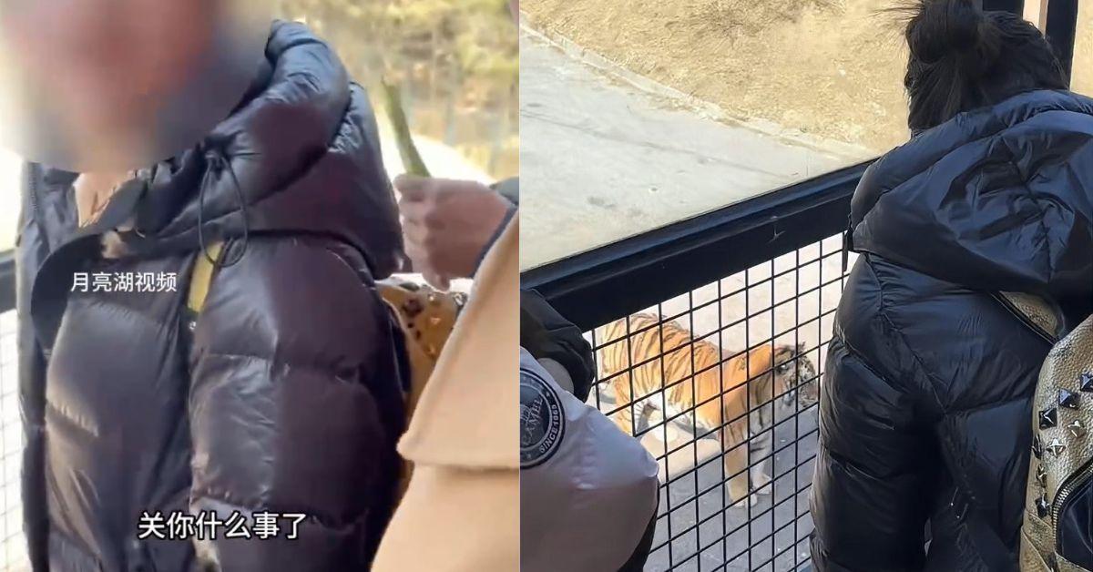 女子飲料潑醒動物園老虎　被勸阻後反斥：關你甚麼事？
