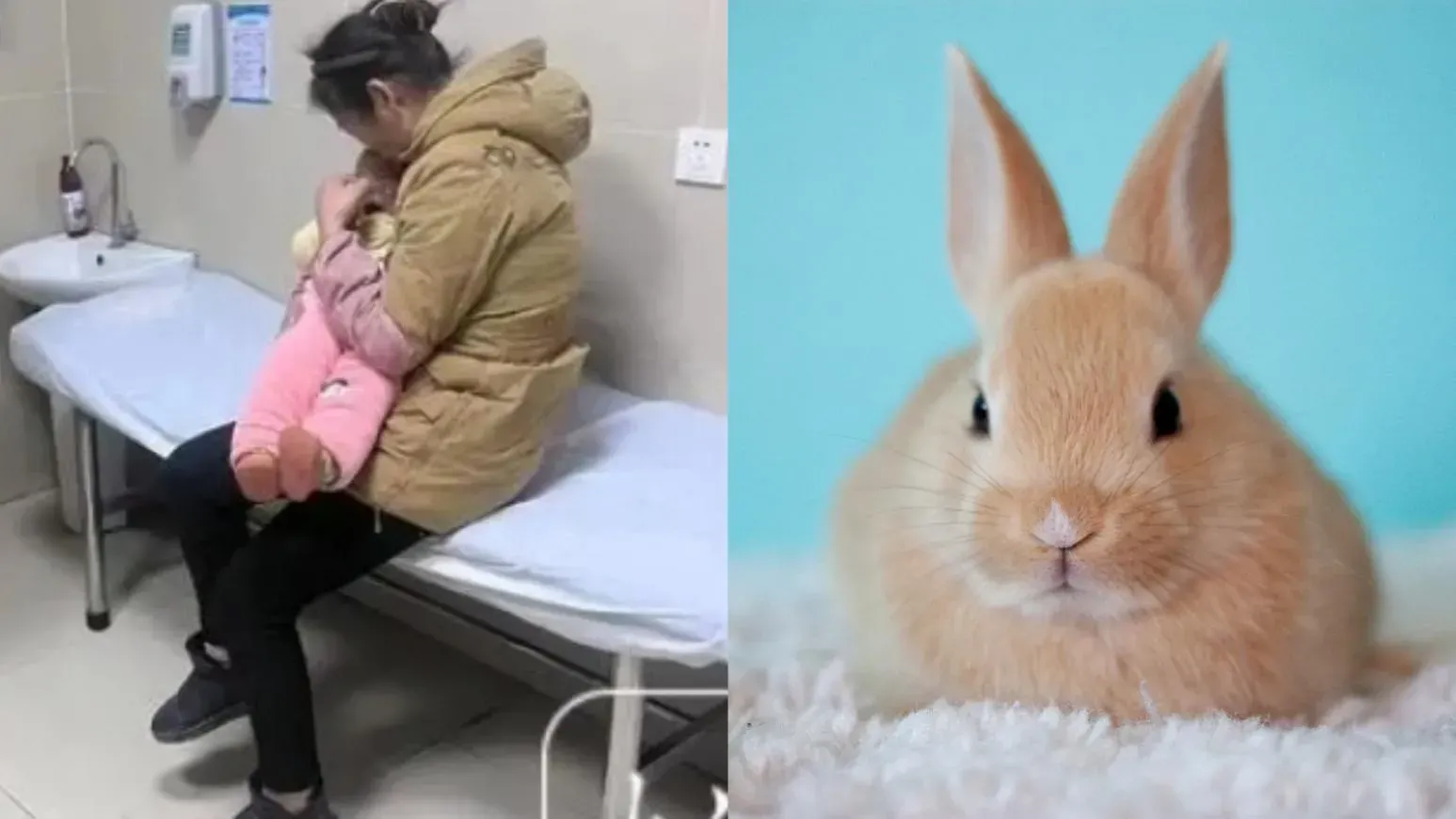  安徽11月大女嬰遭寵物兔咬斷手指　斷指遺失終無法駁回