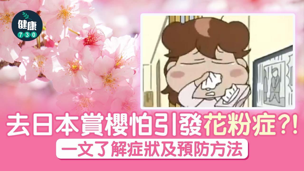 花粉症舒緩｜櫻花並非原因？了解花粉敏感症狀及預防方法（am730製圖）