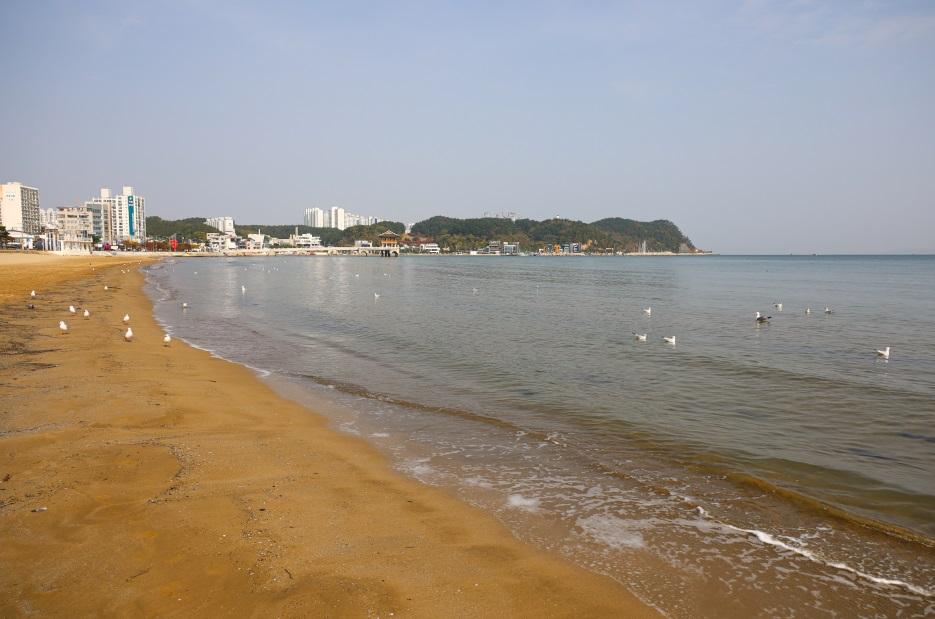 南韓慶尚北道浦項市的迎日臺海水浴場。(互聯網)