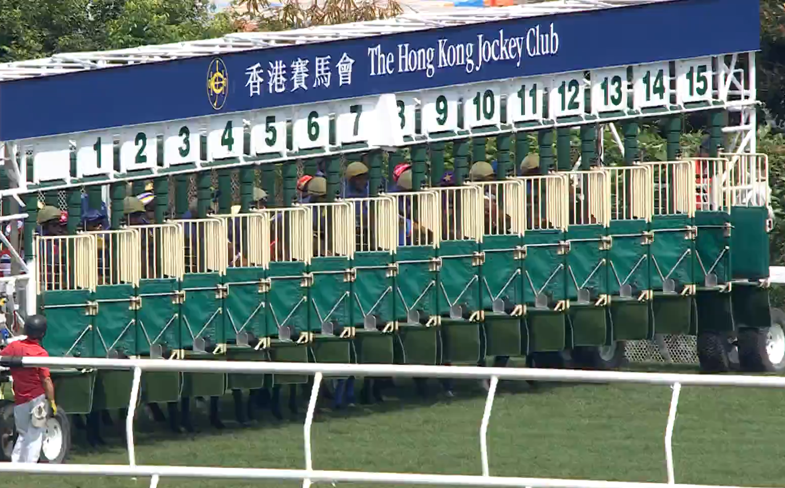 沙田馬場發生墮馬意外