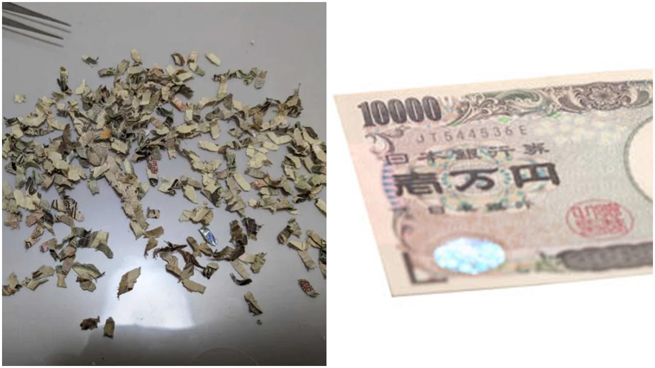 誤將1萬日元紙鈔絞碎，日漢花3周還原成功兌換。