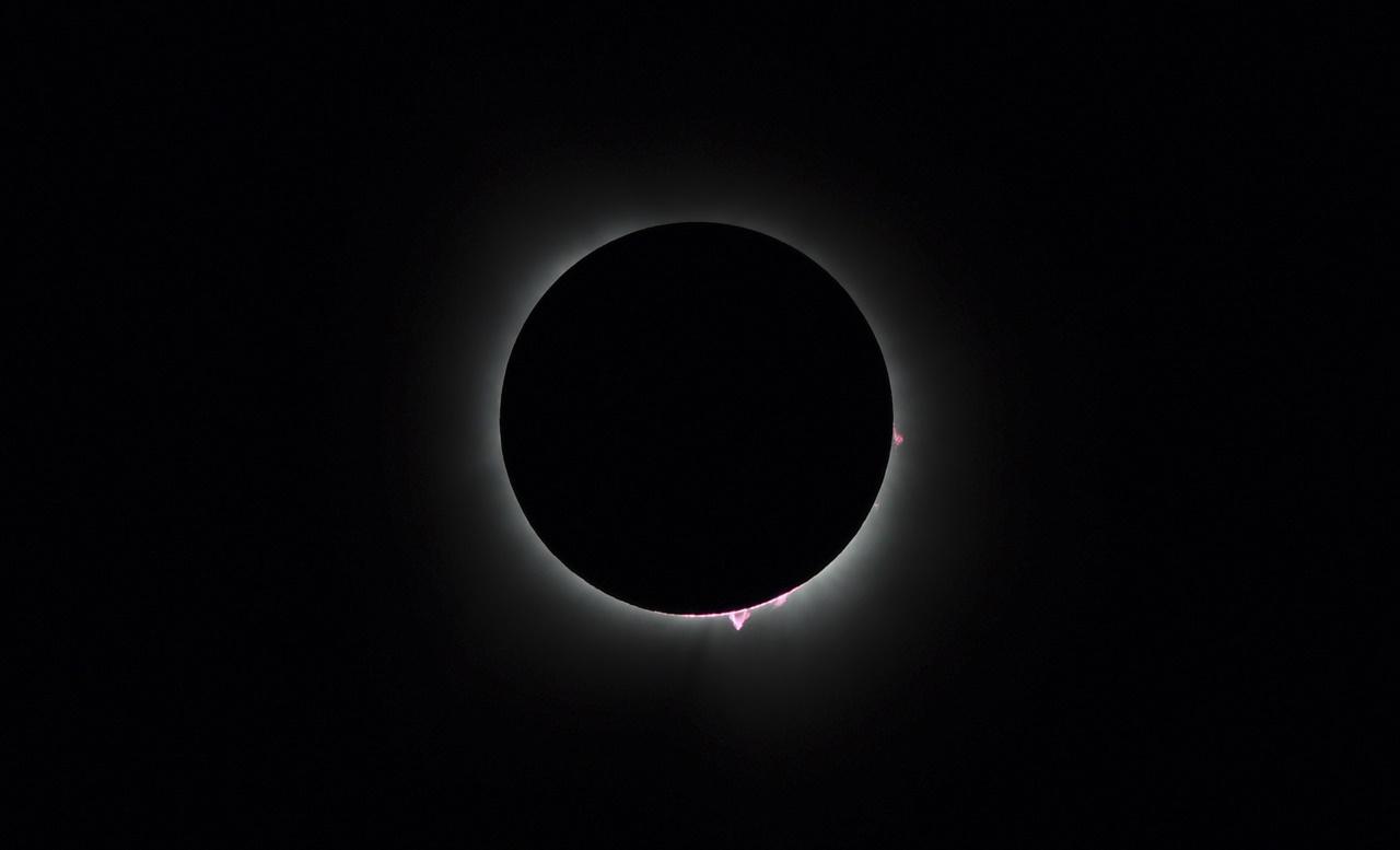 北美民眾迎來日全食，觀賞現場爆發出歡呼聲和掌聲。(AP)