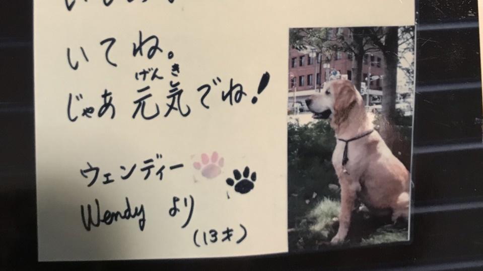 鄰居家門口貼出狗狗「搬遷啟事」，真相卻令逾萬人流淚。(X)