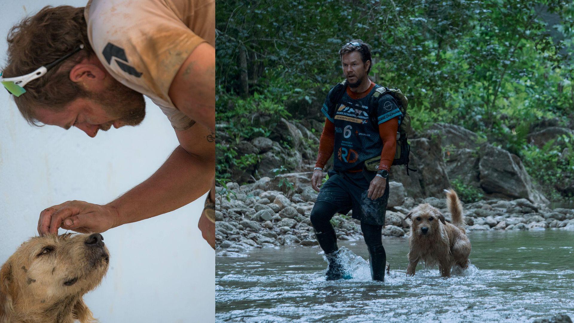 鐵人狗狗｜人狗情深感人奇蹟搬上銀幕 現實Arthur阿瑟2020年已踏彩虹橋