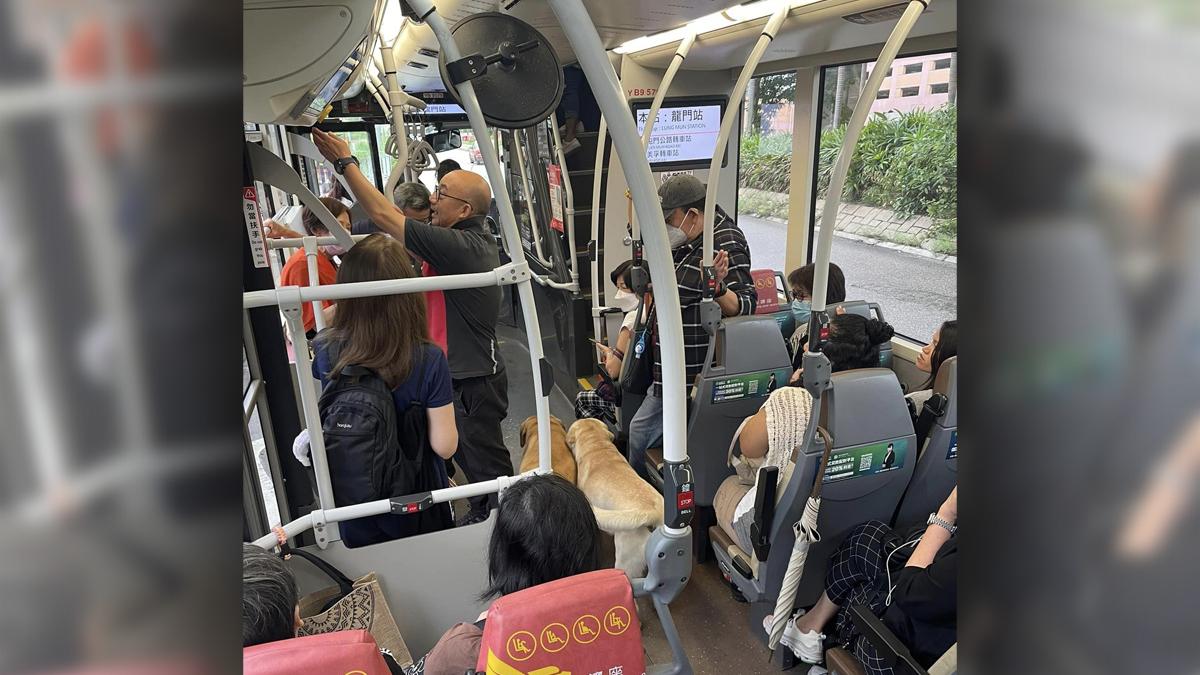 屯門今早有兩隻狗狗登上巴士，懷疑想在車上尋找主人。(FB群組「真・屯門友」)