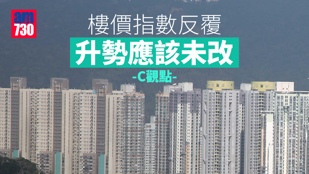 樓價指數反覆 升勢應該未改