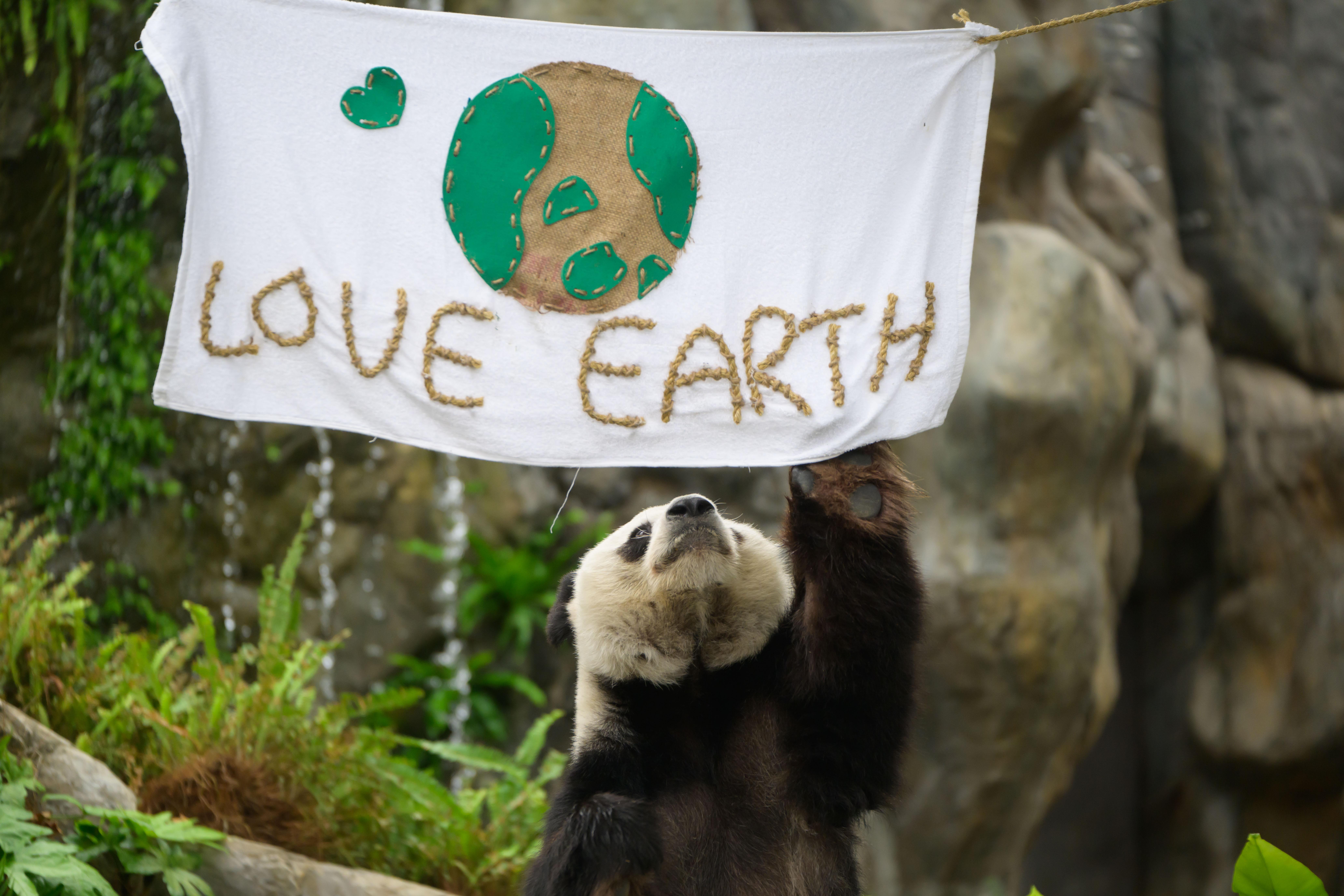 海洋公園動物大使展示如何支持世界地球日。