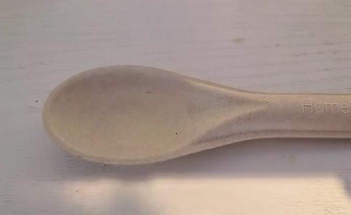 走塑｜網傳紙餐具有蟲　供應商料運輸時弄濕或存放不當