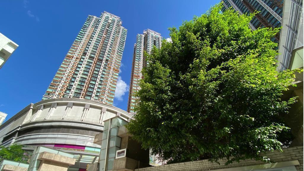 西九四小龍本月累錄5宗買賣，平均實用呎價15,385元，其中碧海藍天最新錄 蝕讓成交。