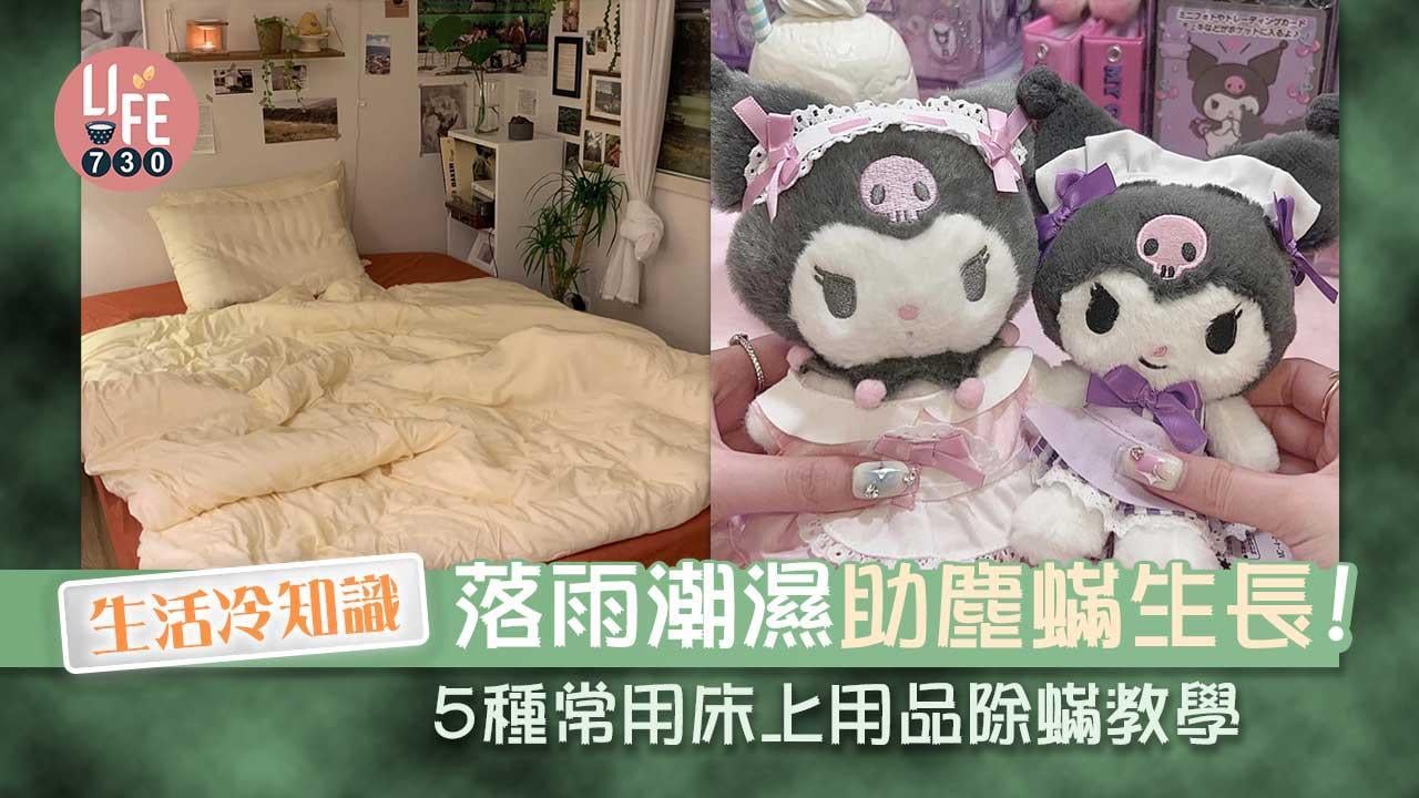 落雨潮濕助塵蟎生長　床單/枕頭/毛公仔除蟎教學（am730製圖）