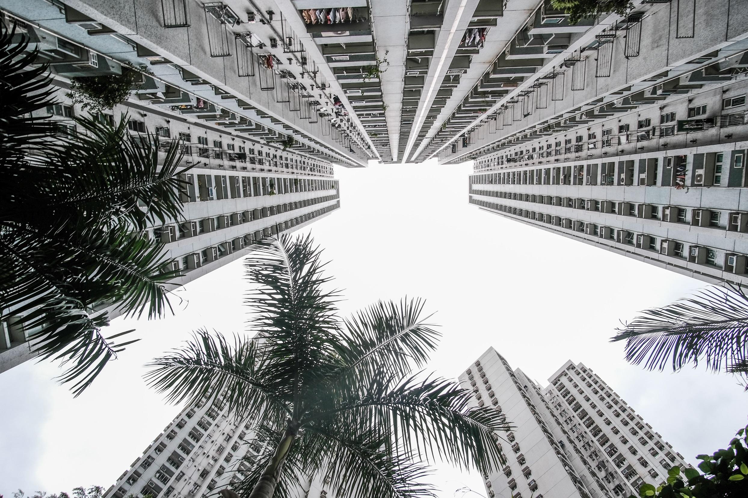 優惠政策欠周全 愛你變成害你