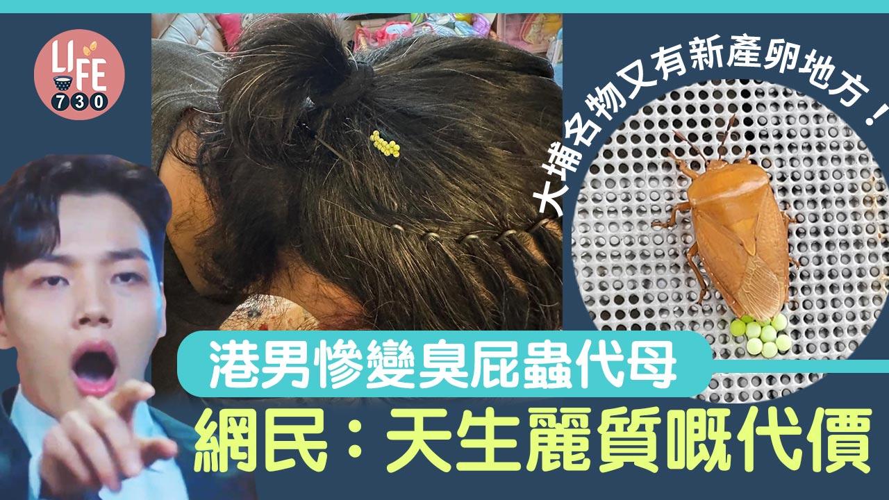 網上熱話｜大埔名物又有新產卵地方！港男崩潰發文 網民笑爆：被選中嘅代母
