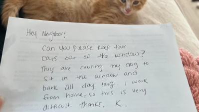 女子收鄰居字條 要求讓貓遠離窗邊 原因是「我隻狗見到你隻貓會吠」