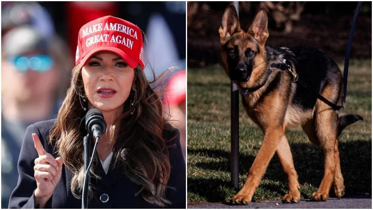 美國州長稱應殺死拜登愛犬「司令」，白宮反擊：她才應被關狗籠。
