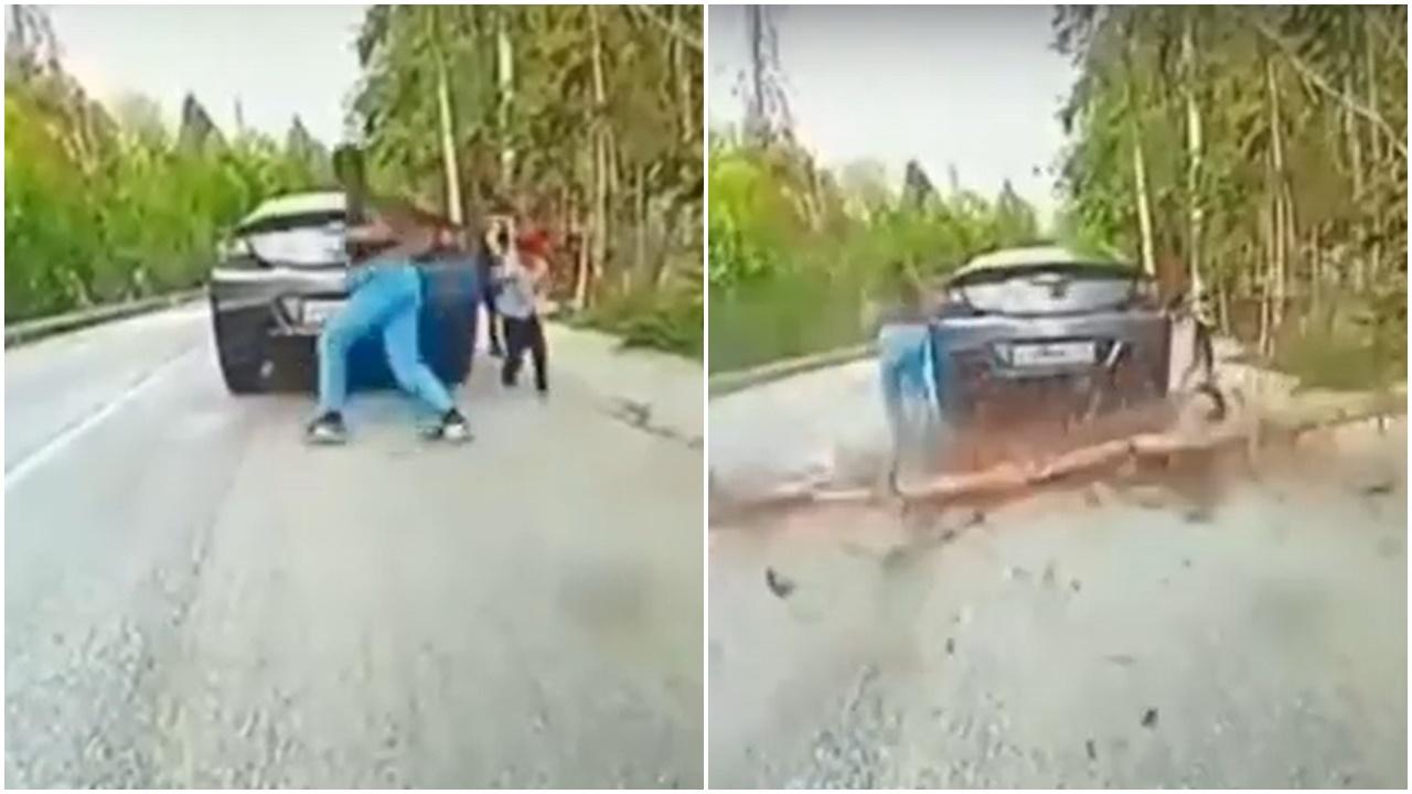 大樹突倒塌砸斃5歲男童，家人目睹慘狀當場崩潰。(IG)