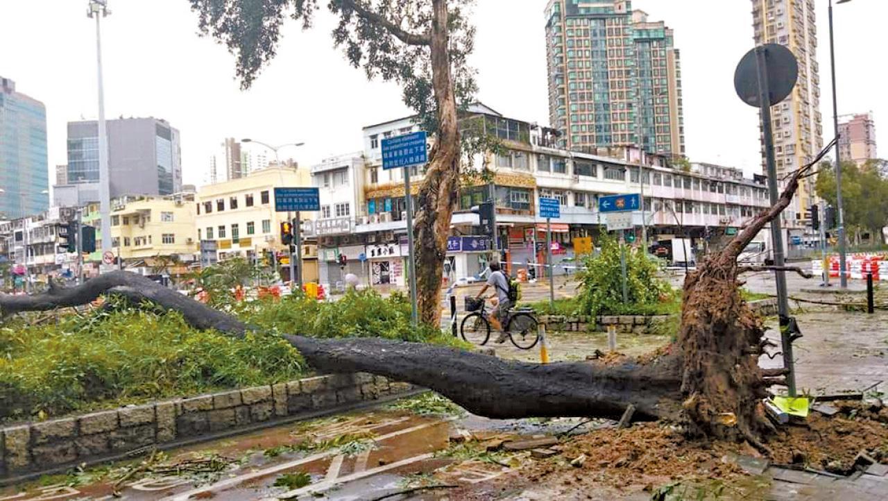 颱風前跨部門桌面演習結束　模擬廣泛財物損毀及嚴重阻塞主要幹道