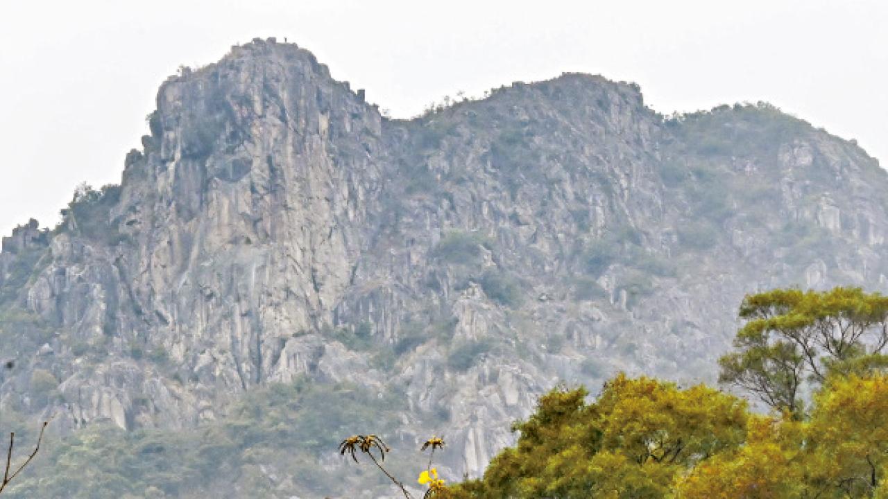 行獅子山近獅頭位墮崖 37歲內地客魂斷香江