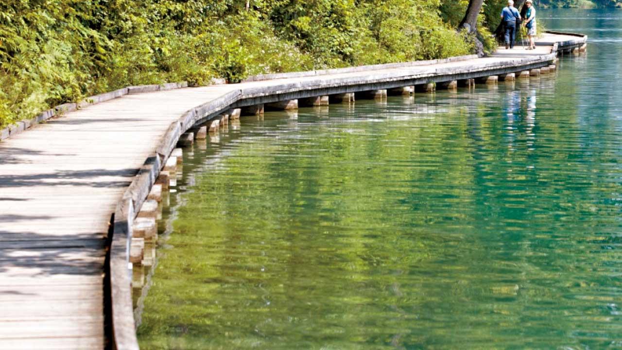 研構建南大嶼生態康樂走廊 議員關注保育  發展局：冀居民有裨益