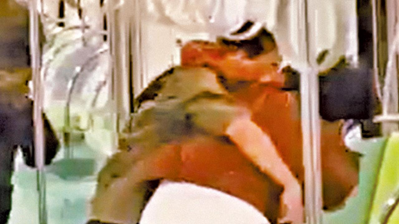 時值鄭捷隨機砍人案10周年 20歲男台中捷運斬人4傷1命危