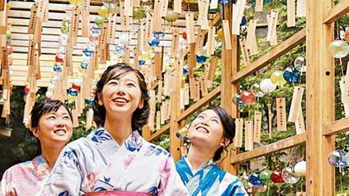 年度限定 日本東北2大祭典