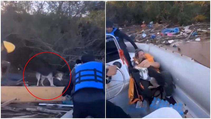 巴西洪災｜災民乘救生艇奇蹟尋回愛犬　激動落淚擁抱狗狗（有片）