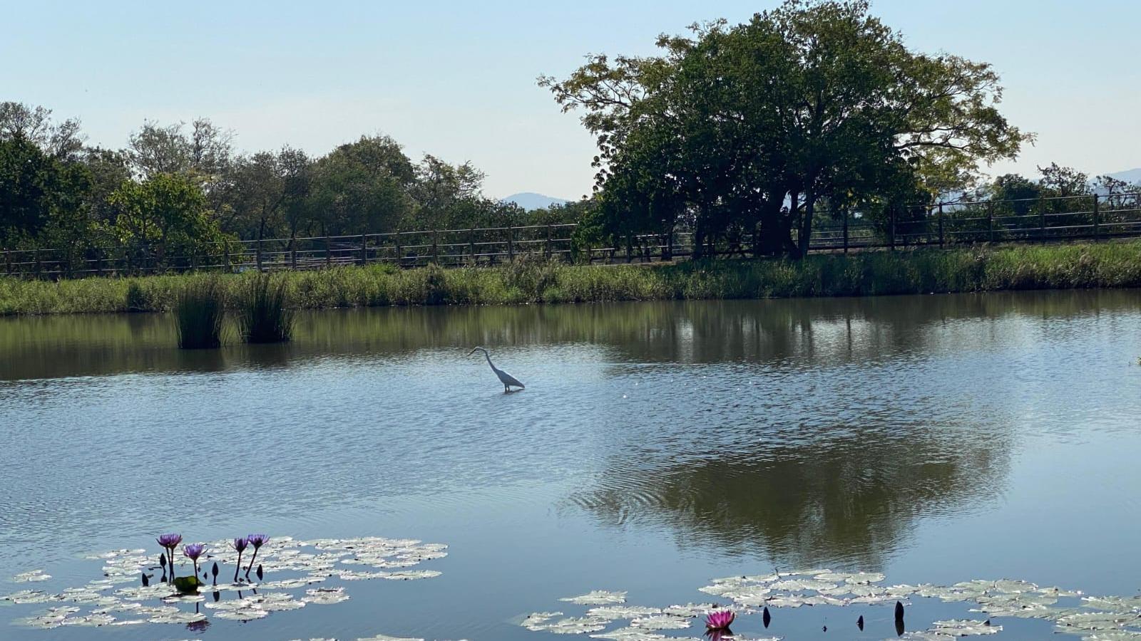 活用特色資源 爭取「元朗無處不旅遊」