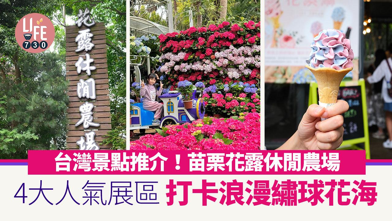 台灣景點推介｜苗栗花露休閒農場 4大人氣展區 打卡浪漫繡球花海＋全台唯一繡球花小火車 