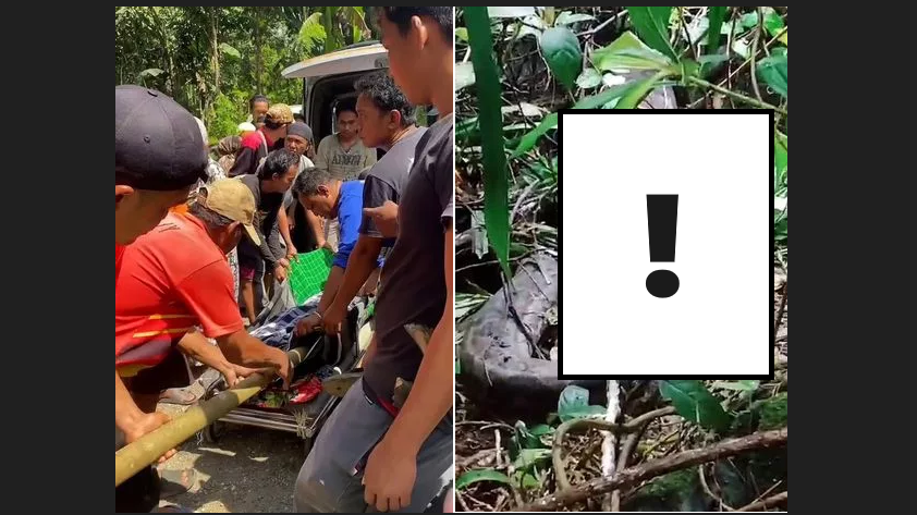 女子遭生吞巨蟒「變成人形」專家揭死前感受【有圖慎入】