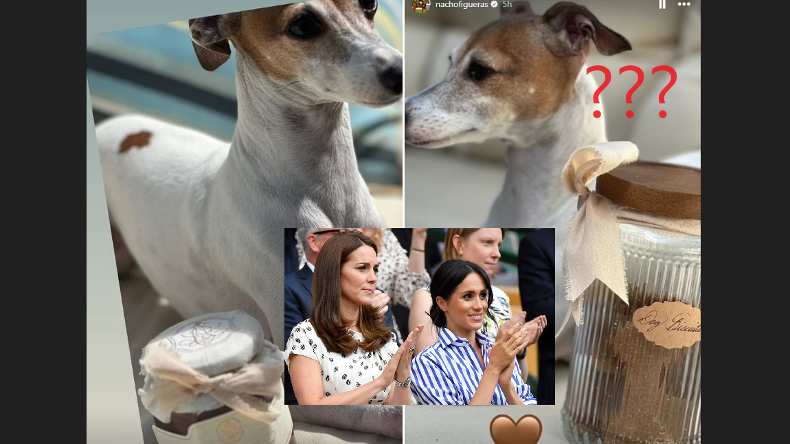 英國王室｜凱特復出同一天 梅根宣傳「自家狗餅」搶鏡 網民︰笑死！低莊！