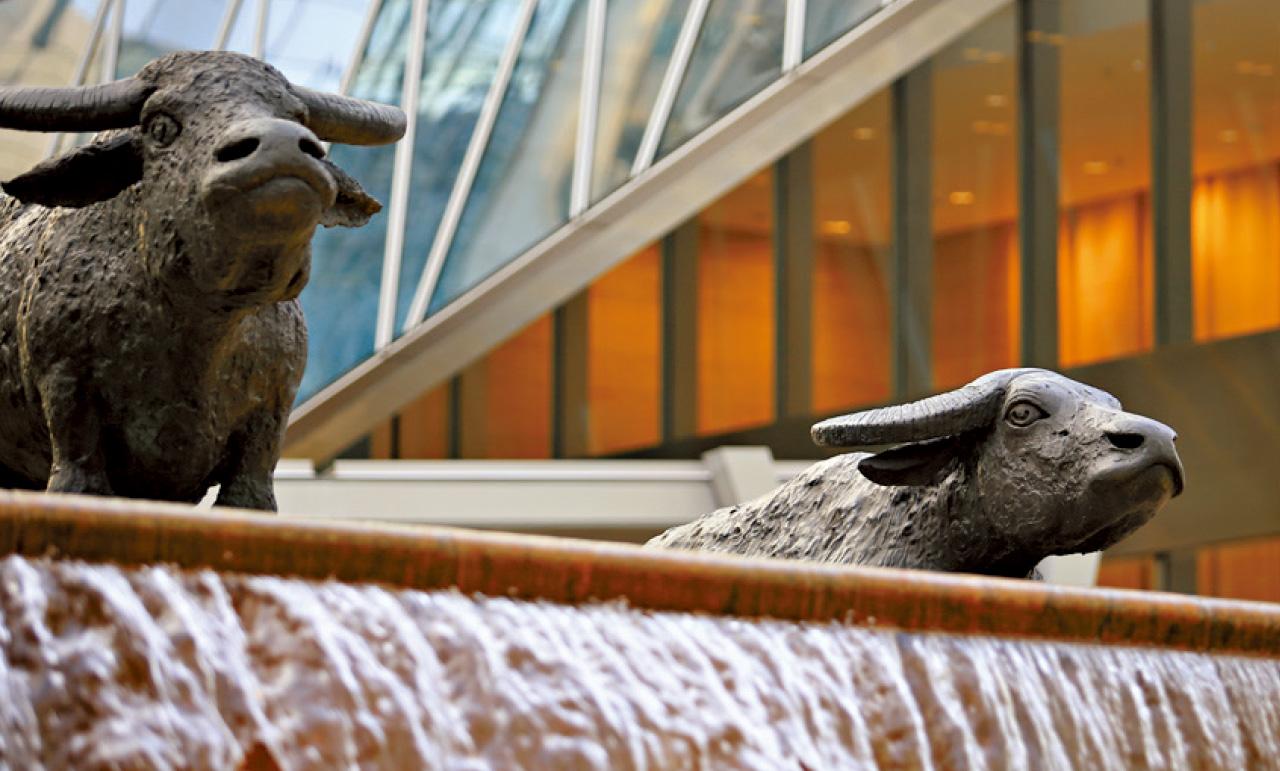 改變交易方法應對失落周期