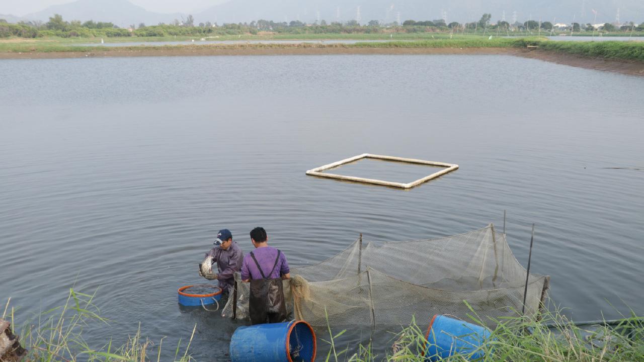 打造本地特色休閒漁農業