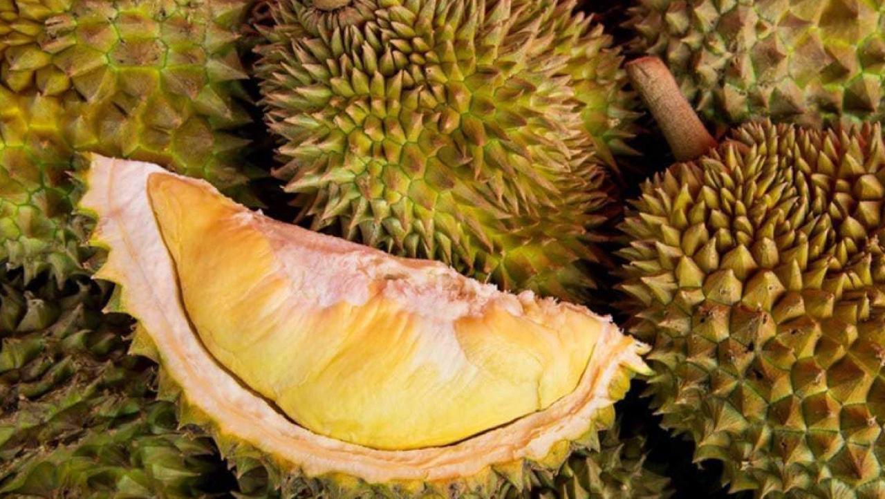 榴槤人教會我的事